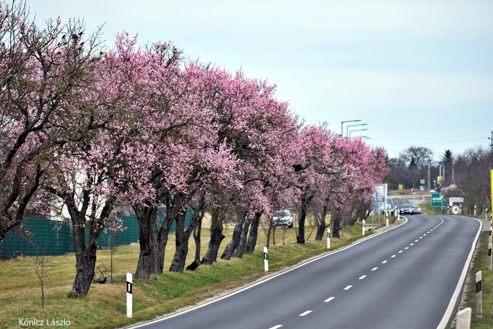 Platan Apartmanhaz Balatongyörök Exterior foto
